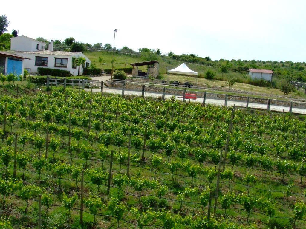 Bed and breakfast Badde Cubas *